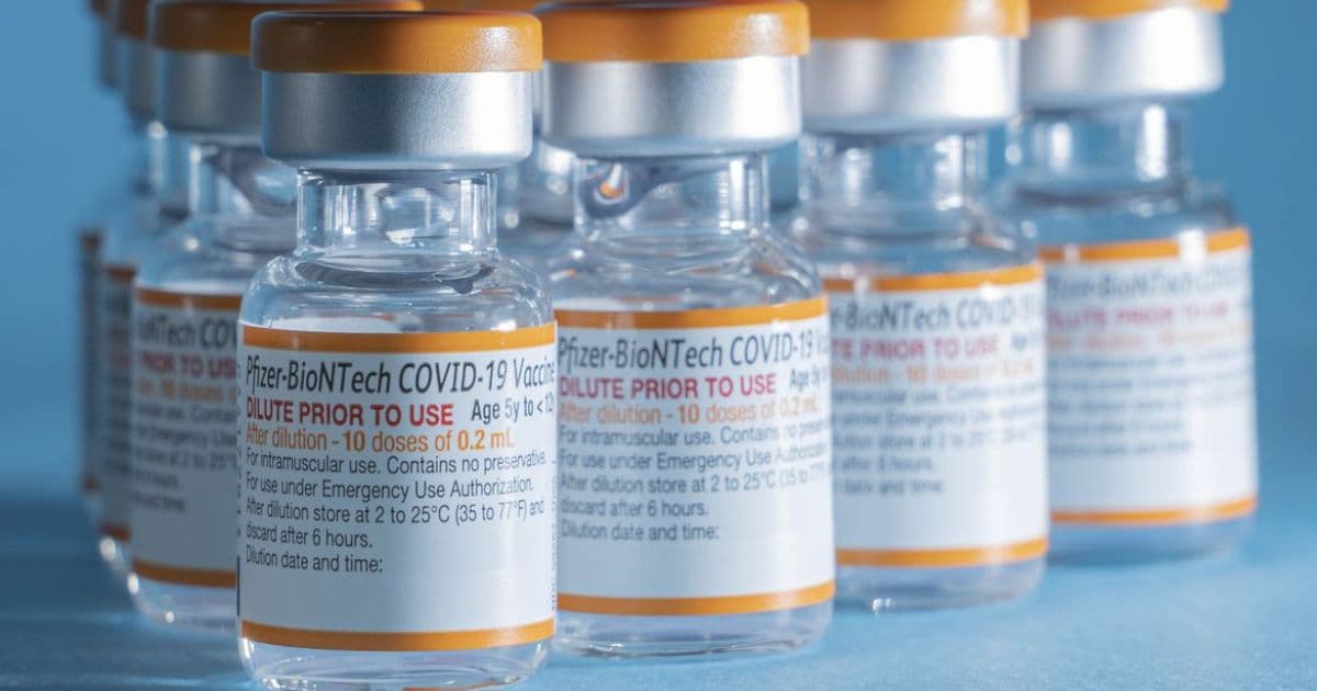 Novo lote de vacinas pediátricas da Pfizer serão entregues no dia 24