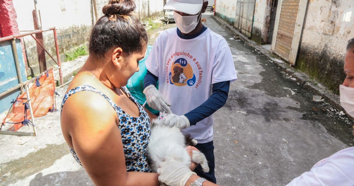 Prefeitura diz que mais 190 mil animais serão vacinados contra raiva em Salvador