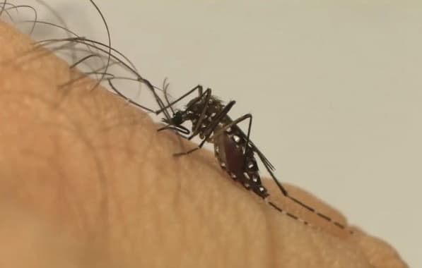 Vacina contra dengue é incorporada ao SUS pelo Ministério da Saúde