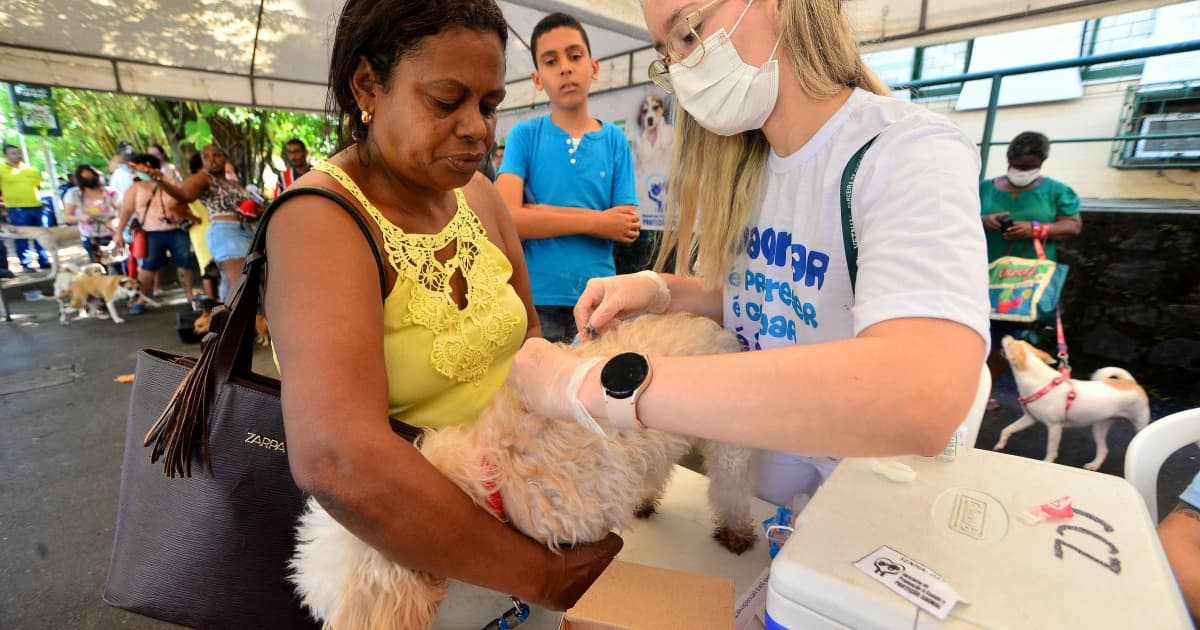 Mais de 3 mil doses de vacina v10 para cães serão disponibilizadas a partir de quarta-feira