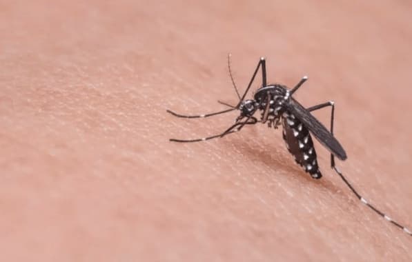 Sesab desmente prefeitura de Guanambi sobre novas mortes por dengue na cidade