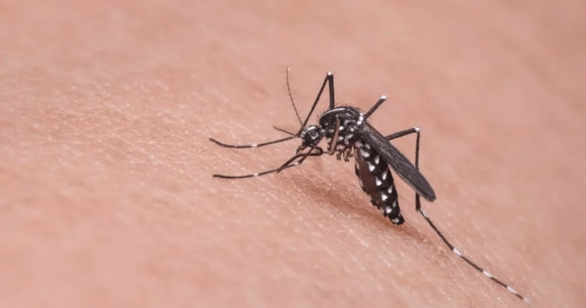 Sesab desmente prefeitura de Guanambi sobre novas mortes por dengue na cidade