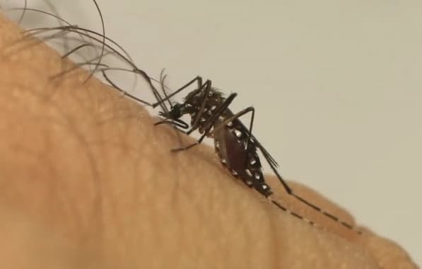 Sesab confirma mais duas morte por dengue na Bahia; Número de vítimas da doença sobe para 49 