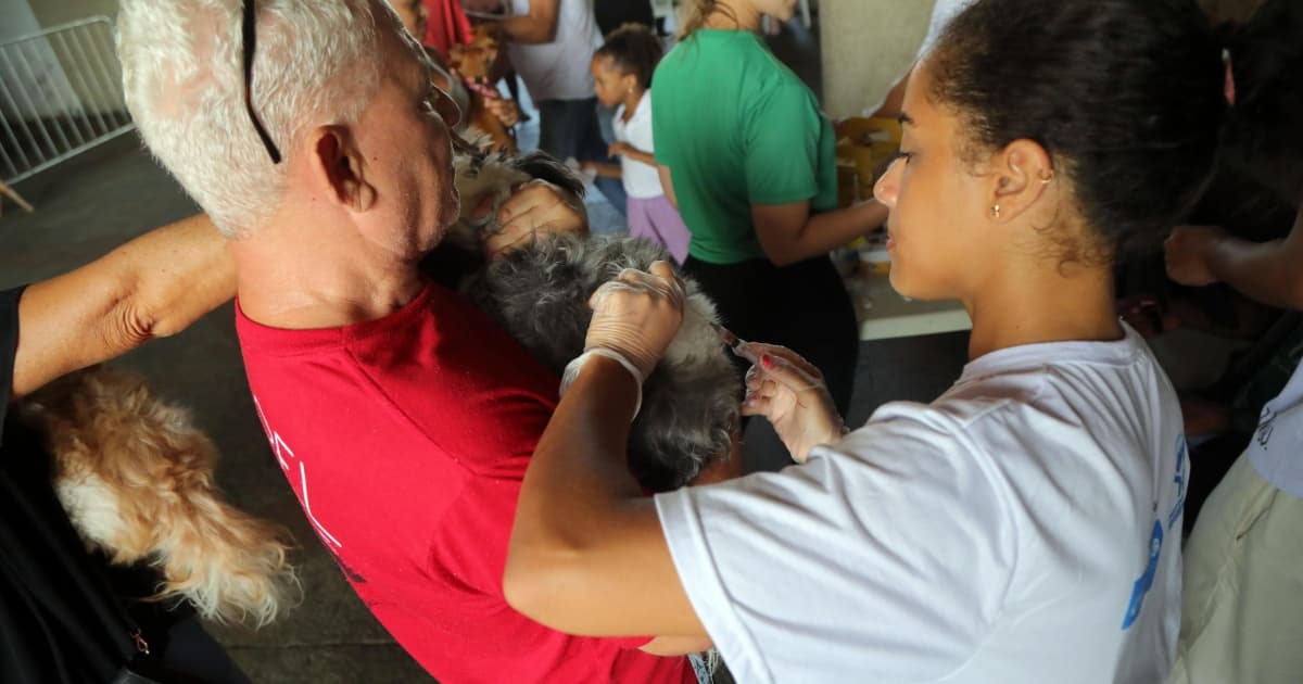 Vacina V10 é aplicada gratuitamente para cães e gatos no bairro de Marechal Rondon, em Salvador