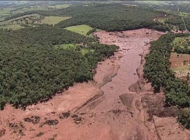 Leonardo DiCaprio se manifesta sobre Brumadinho em rede social e faz pedido à Vale