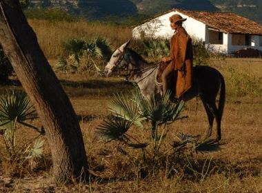 Coluna Literatura: Leia 'Filho morto, alma lavada'