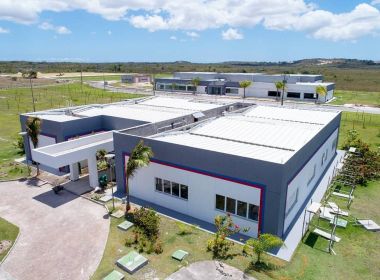 Time de transição do Bahia vai 'testar' Cidade Tricolor no fim de dezembro