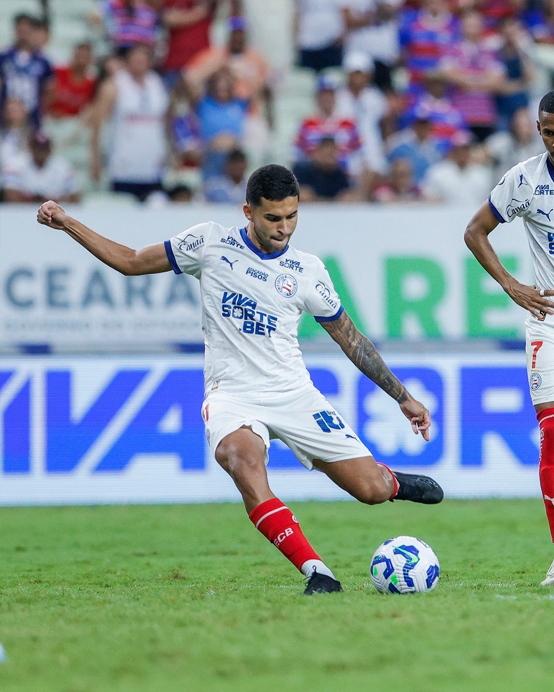 image para ilustrar o artigo