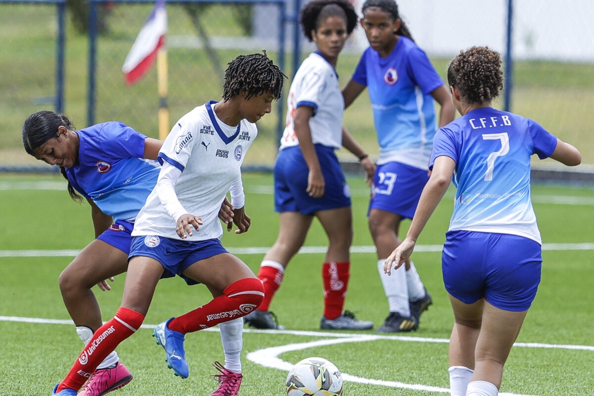 image para ilustrar o artigo