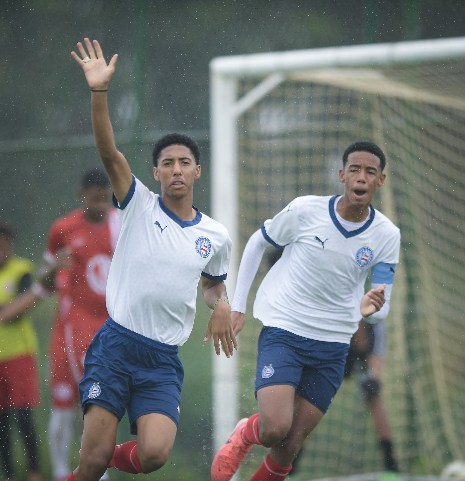 image para ilustrar o artigo