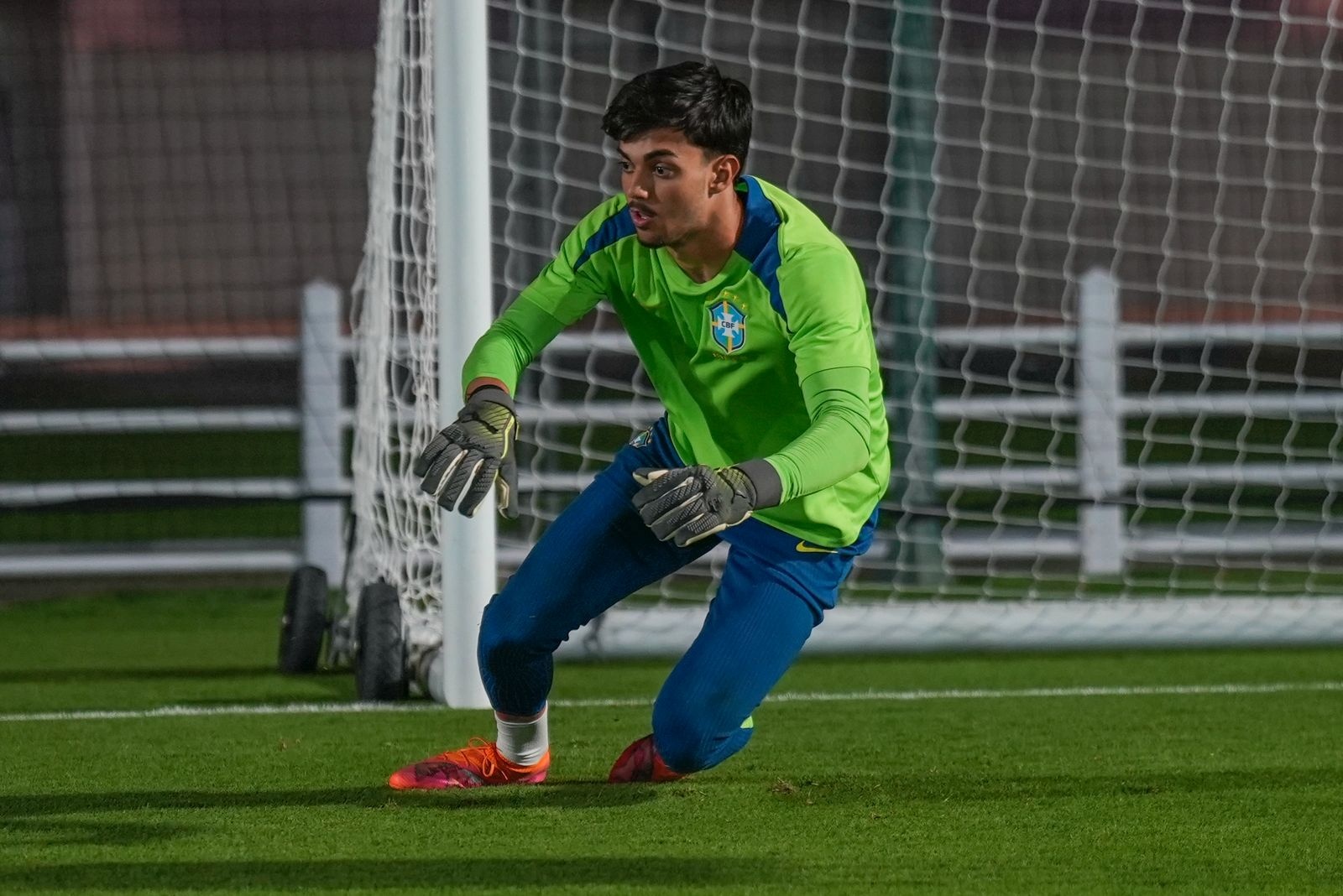 image para ilustrar o artigo