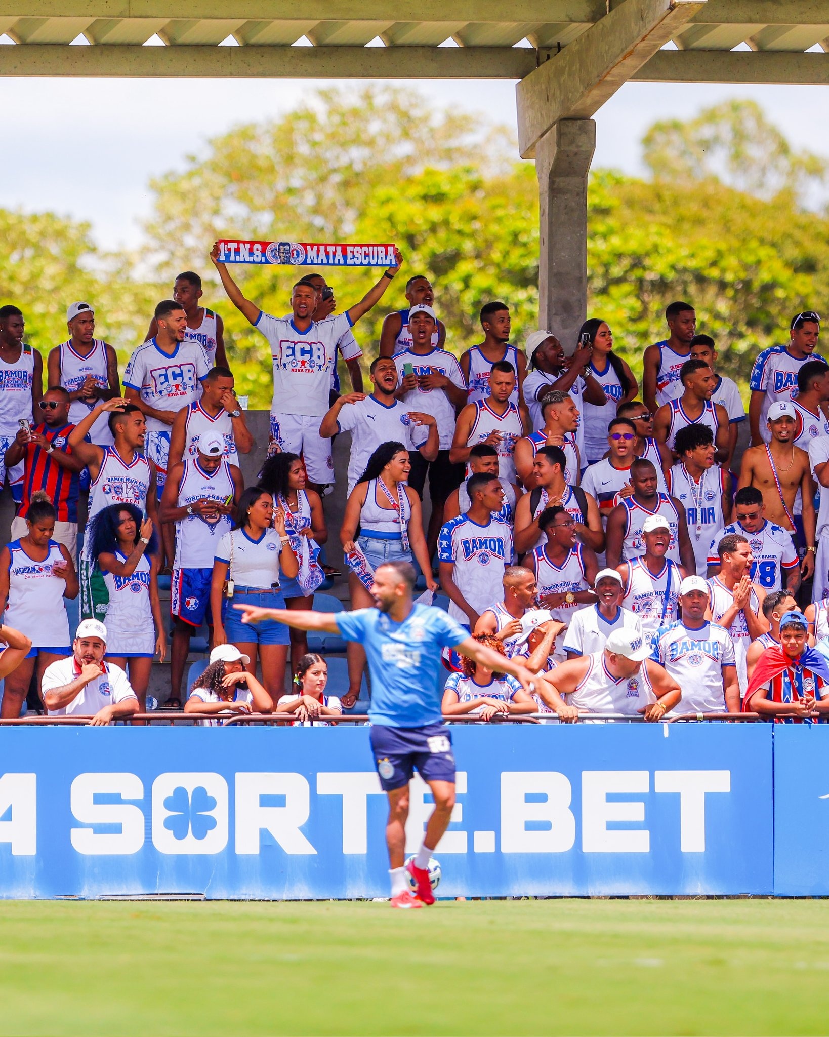 image para ilustrar o artigo