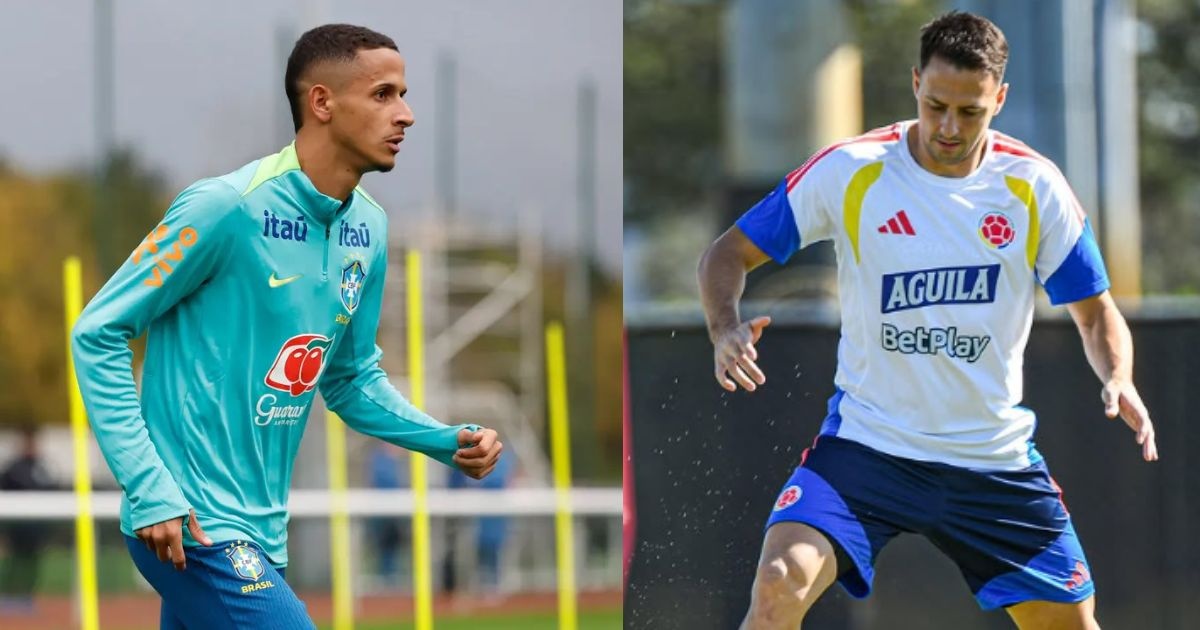 image para ilustrar o artigo