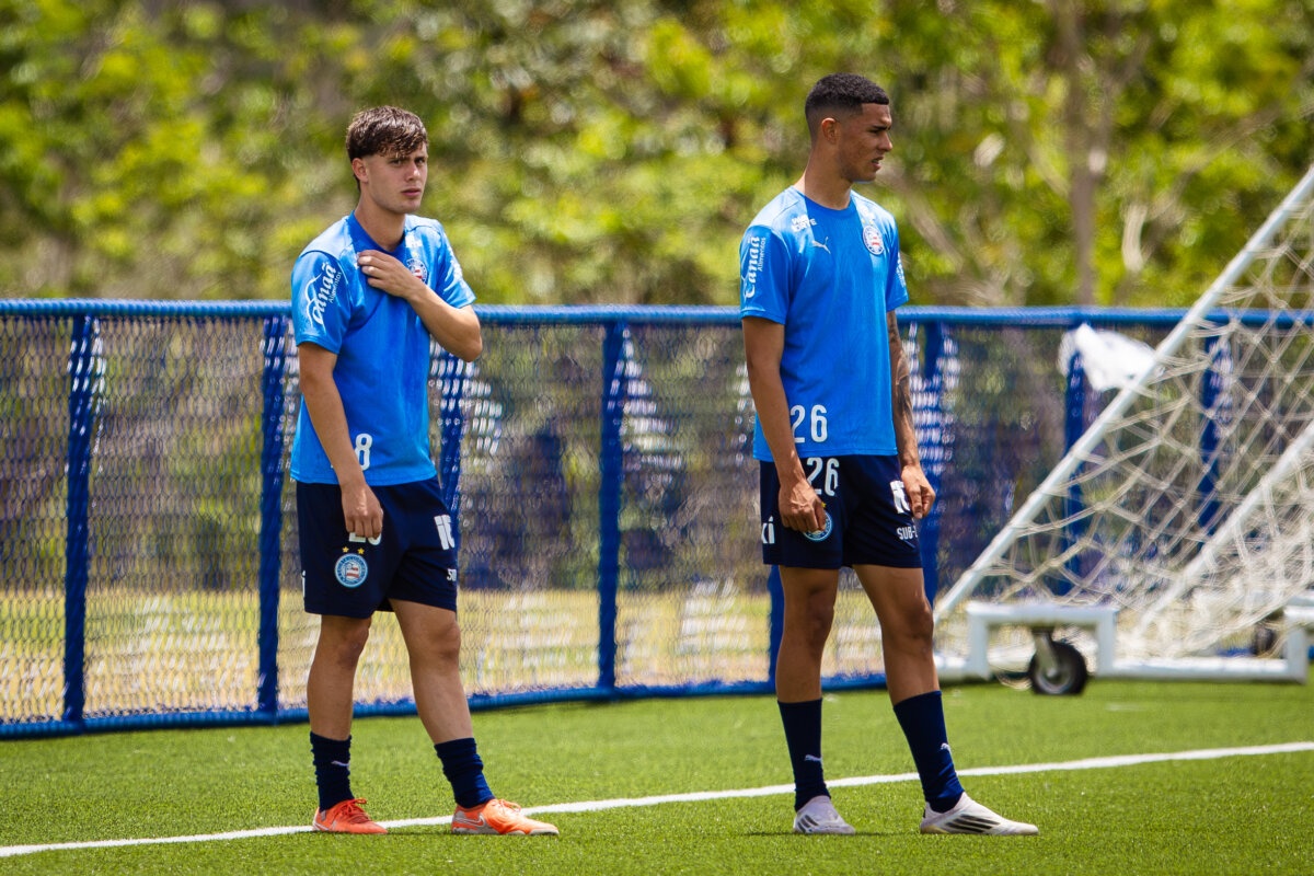 image para ilustrar o artigo