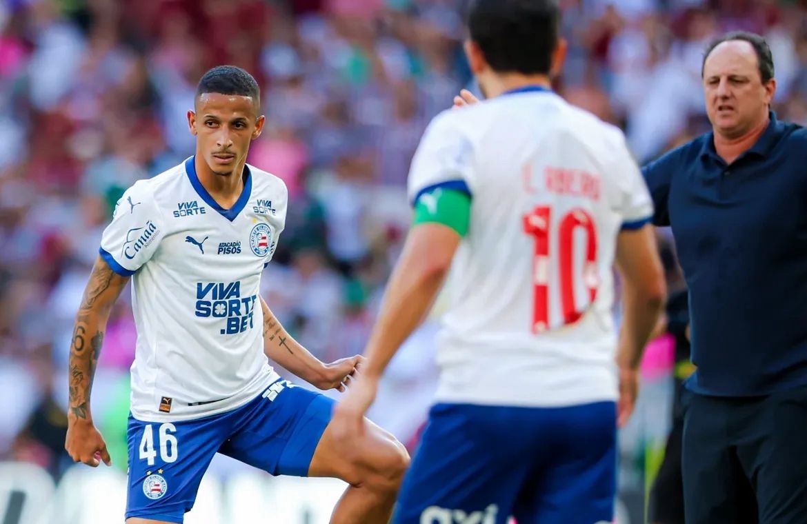 image para ilustrar o artigo