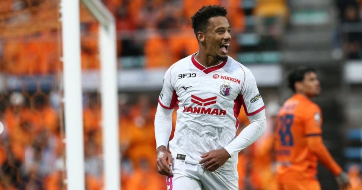 image para ilustrar o artigo