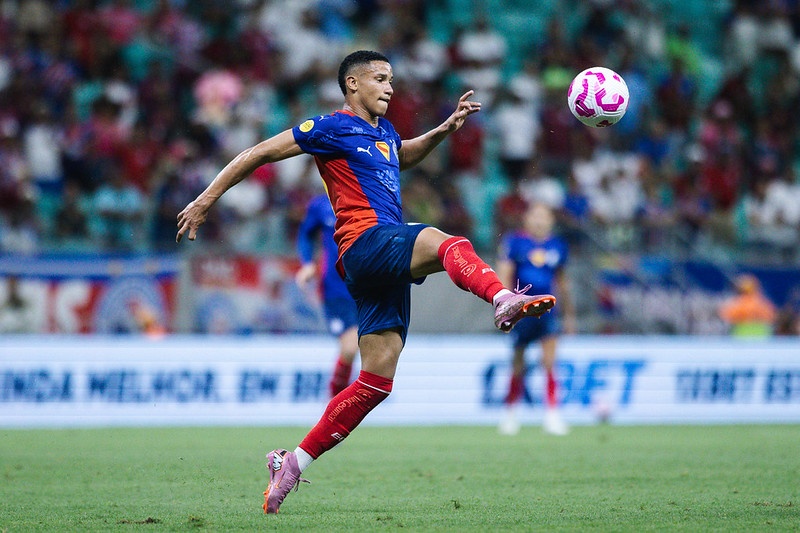 image para ilustrar o artigo