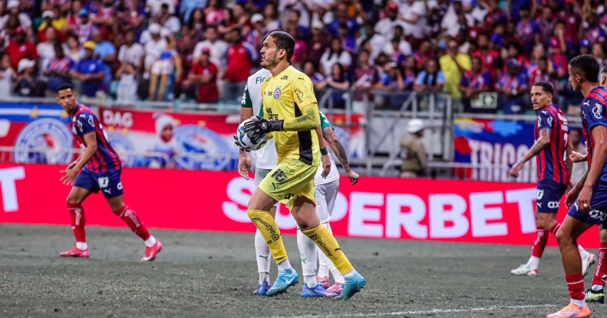 image para ilustrar o artigo