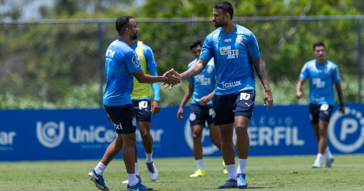 image para ilustrar o artigo