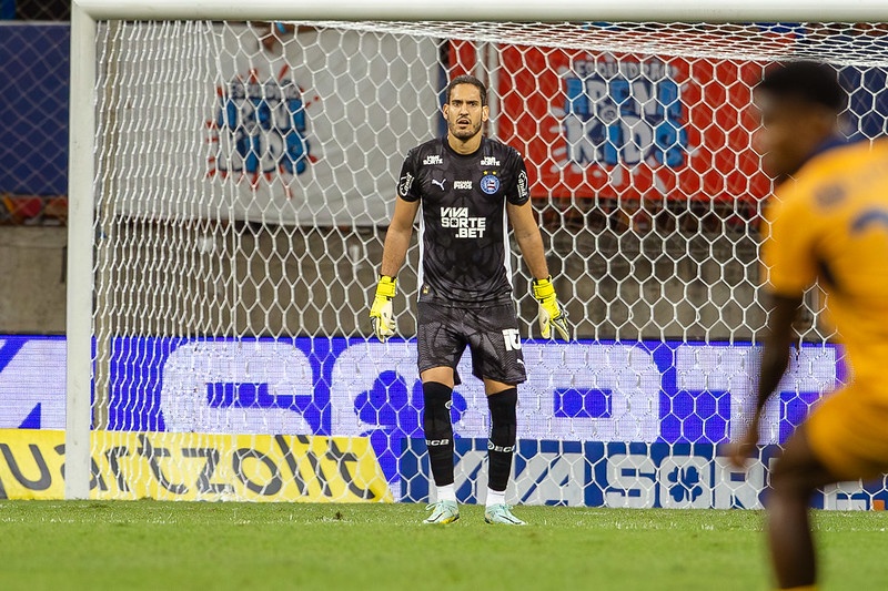 image para ilustrar o artigo