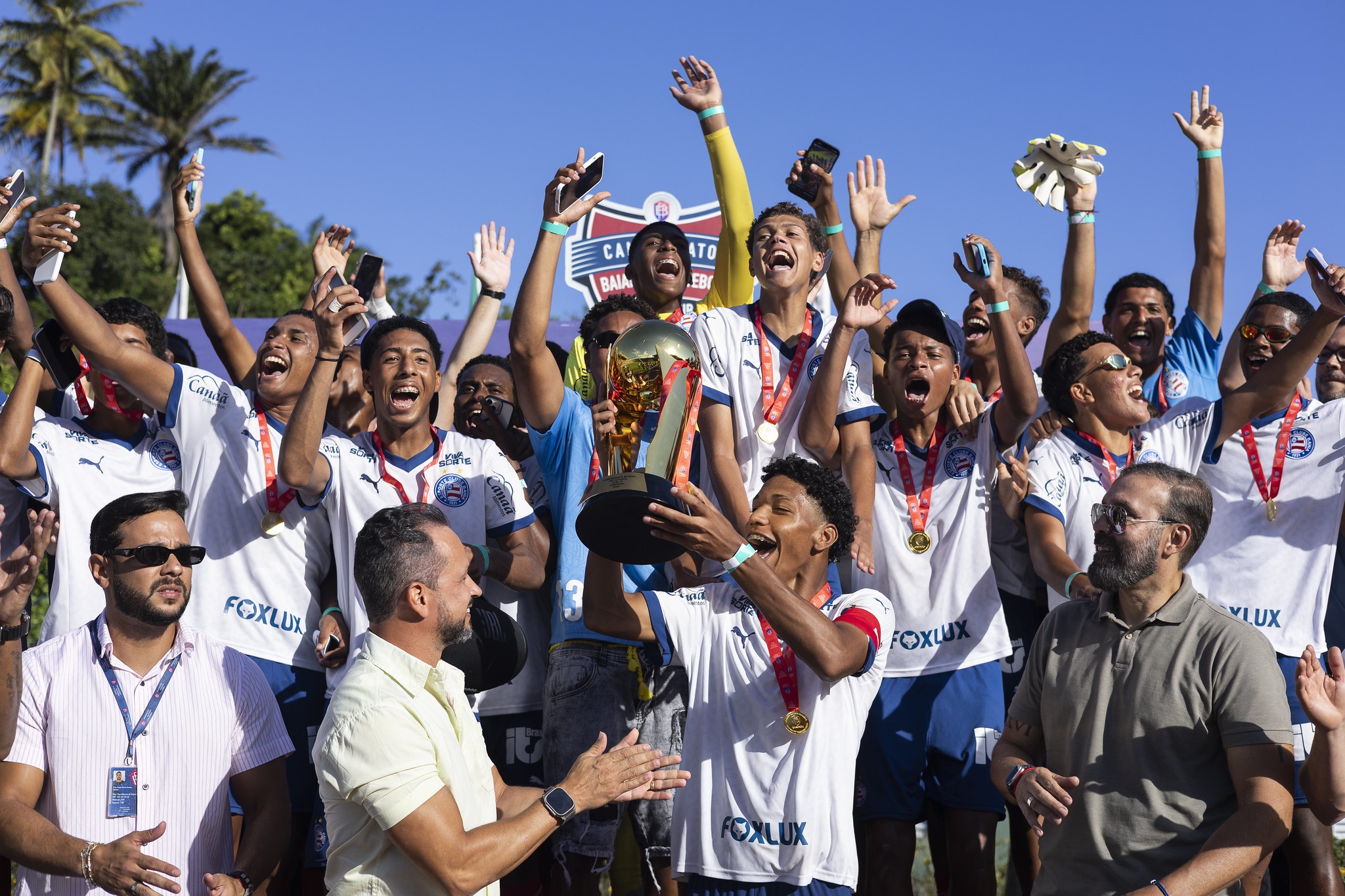 image para ilustrar o artigo