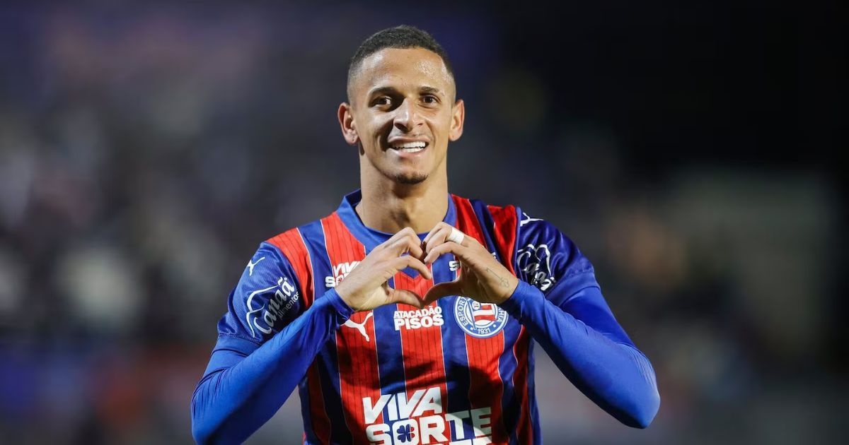 image para ilustrar o artigo