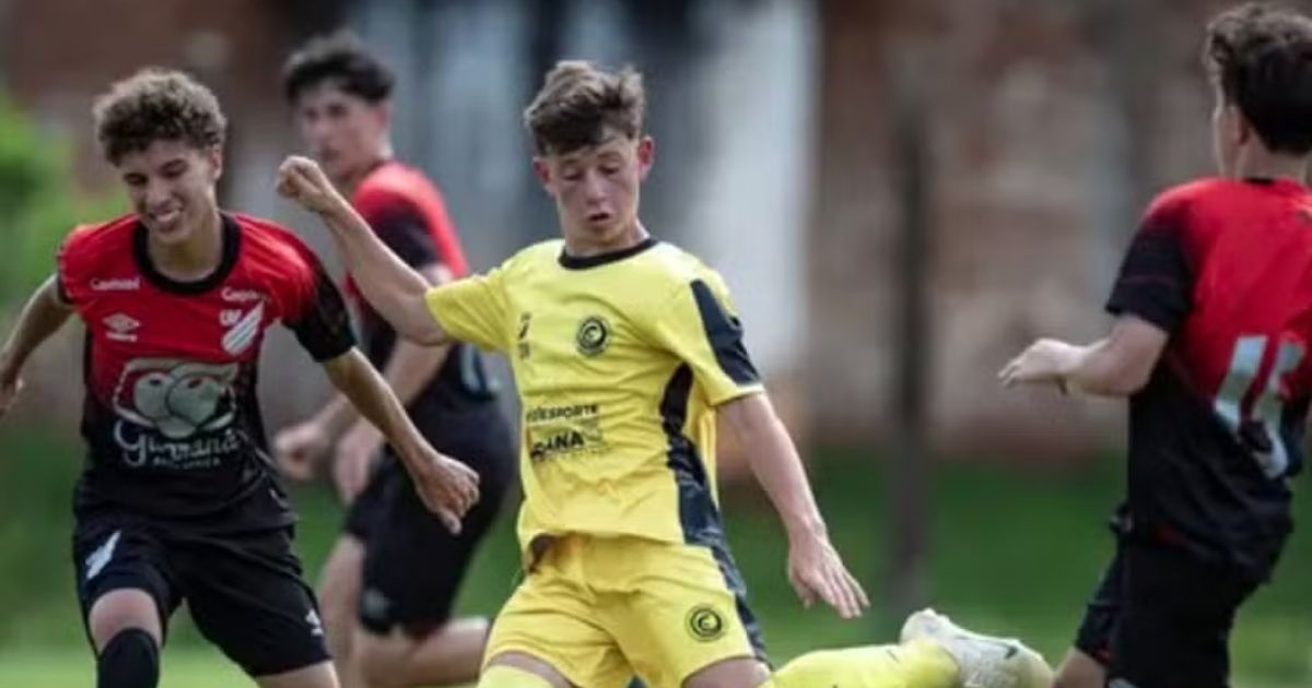 image para ilustrar o artigo