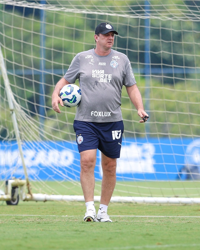 image para ilustrar o artigo