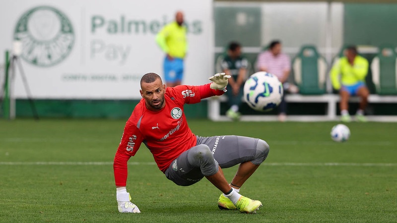 image para ilustrar o artigo