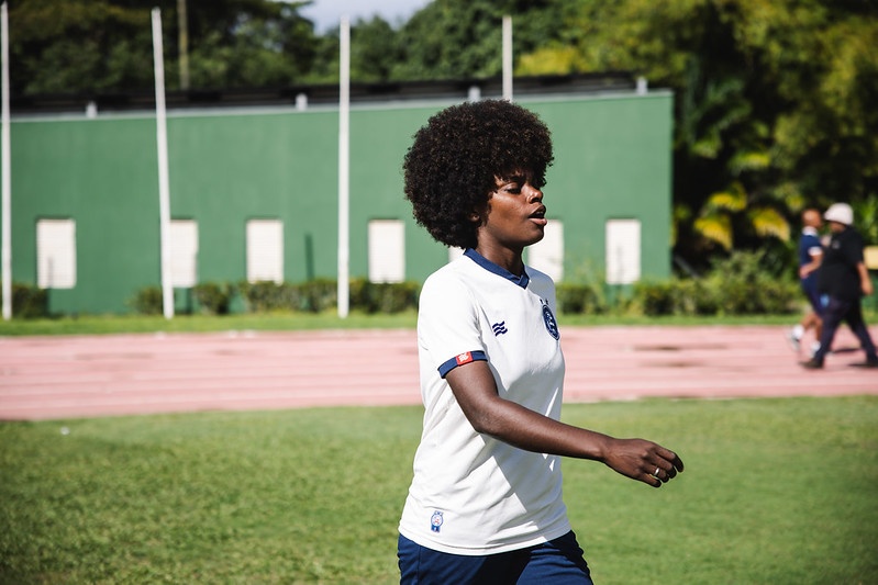 image para ilustrar o artigo