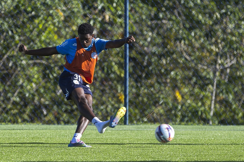 image para ilustrar o artigo