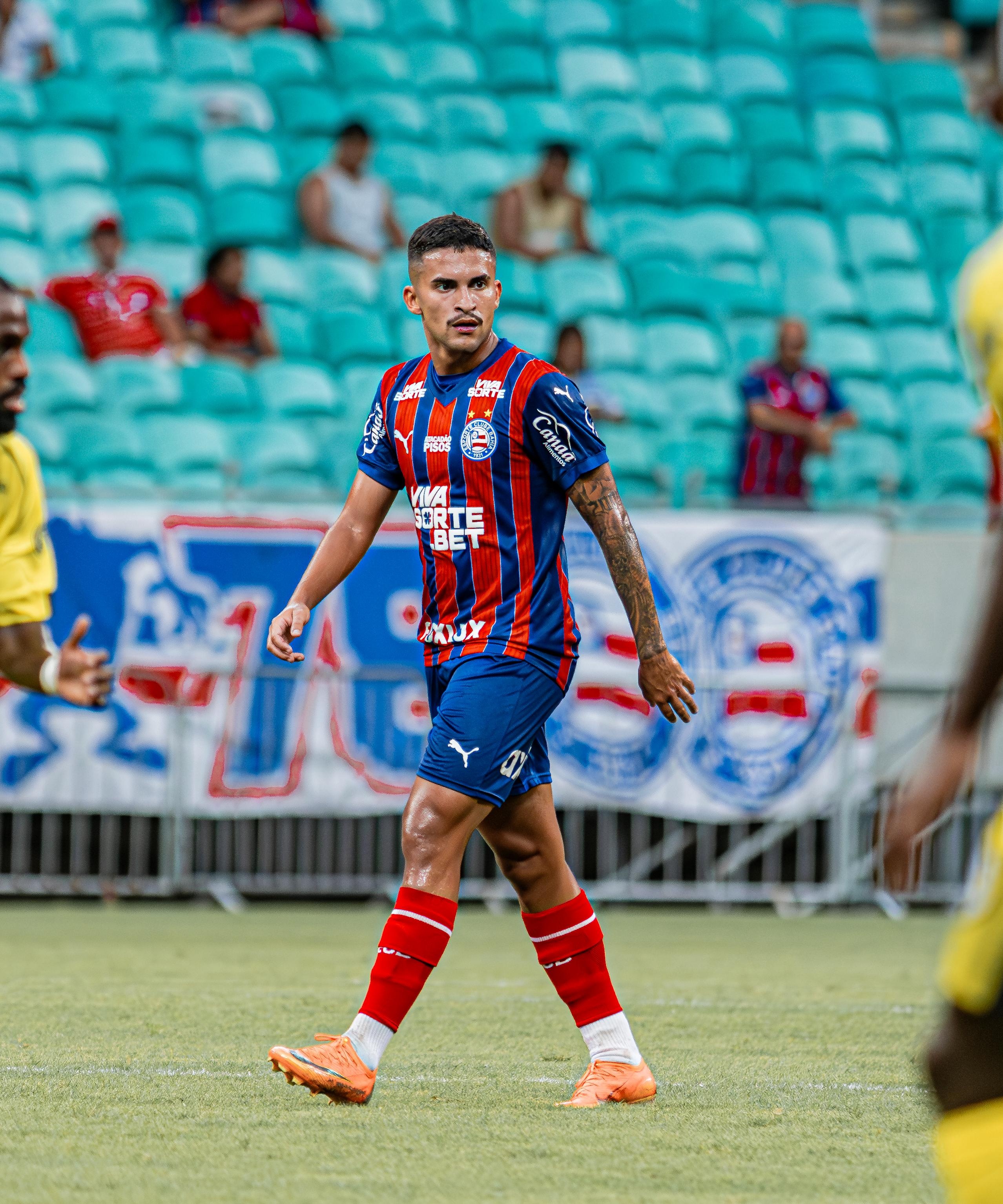 image para ilustrar o artigo