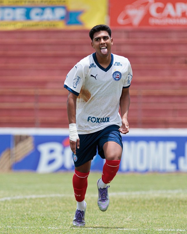 image para ilustrar o artigo