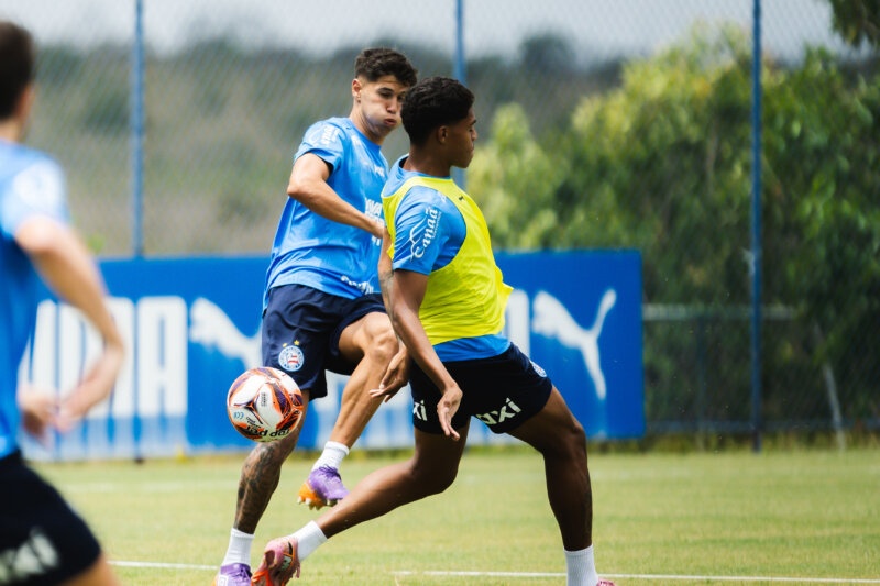 image para ilustrar o artigo