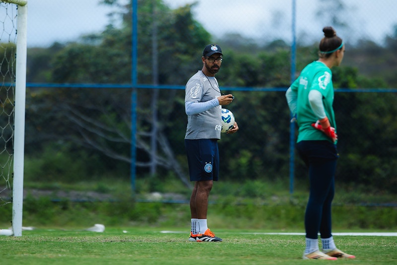 image para ilustrar o artigo