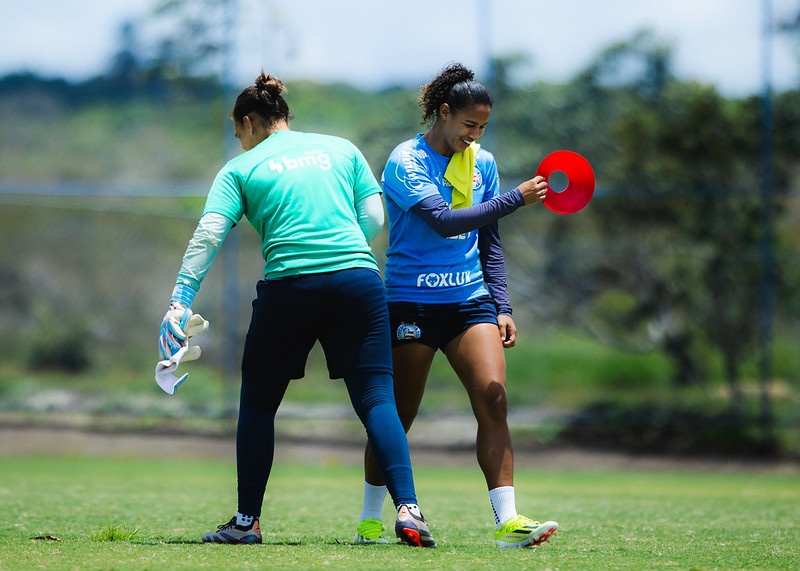 image para ilustrar o artigo