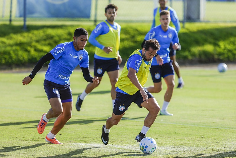 image para ilustrar o artigo