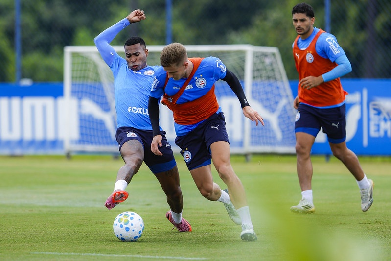 image para ilustrar o artigo