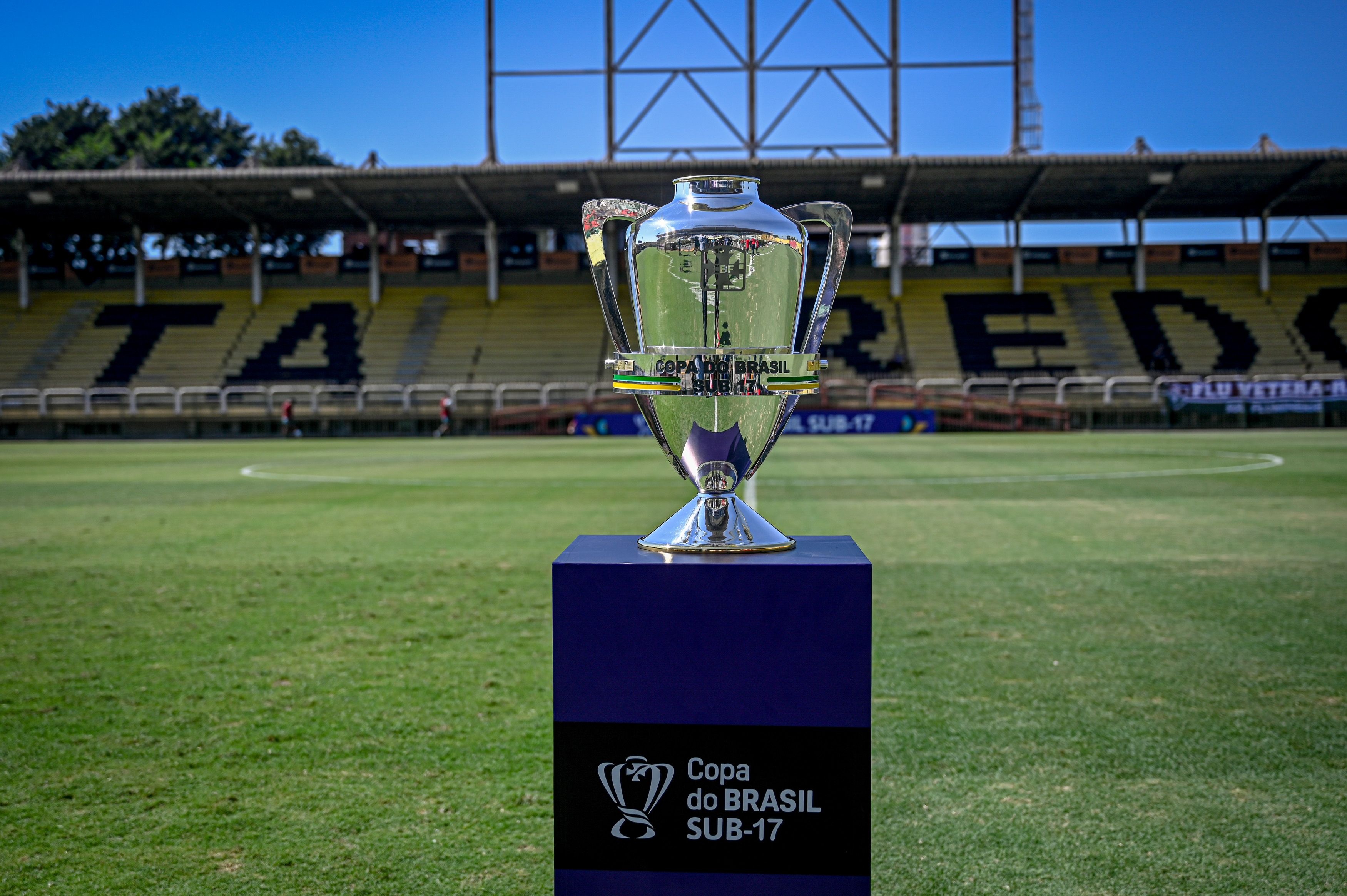 image para ilustrar o artigo