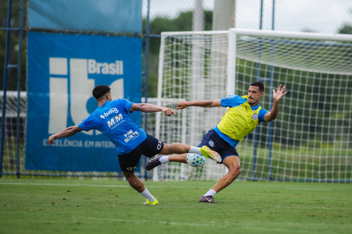 image para ilustrar o artigo