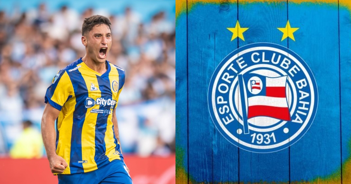 image para ilustrar o artigo