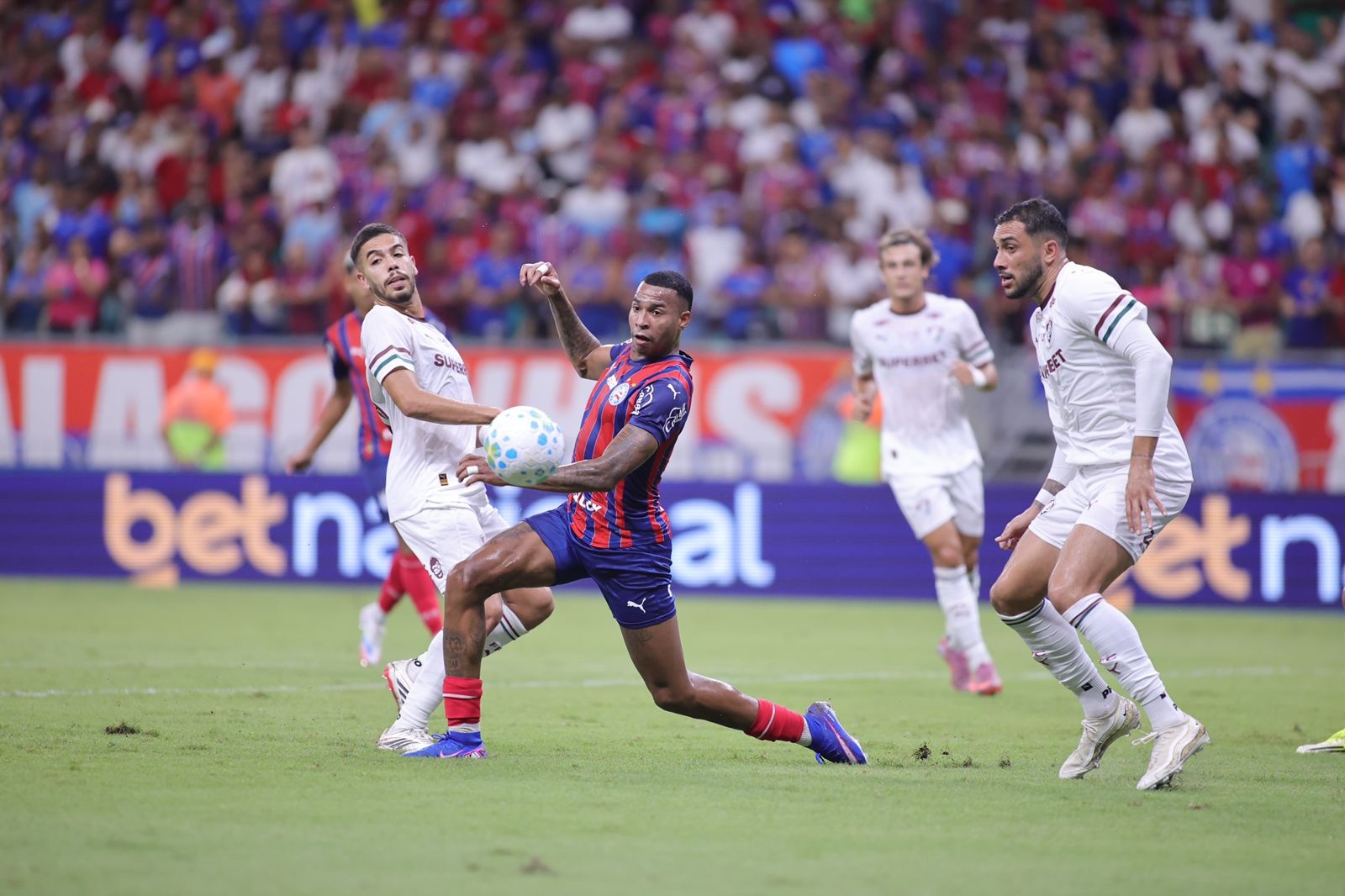 image para ilustrar o artigo