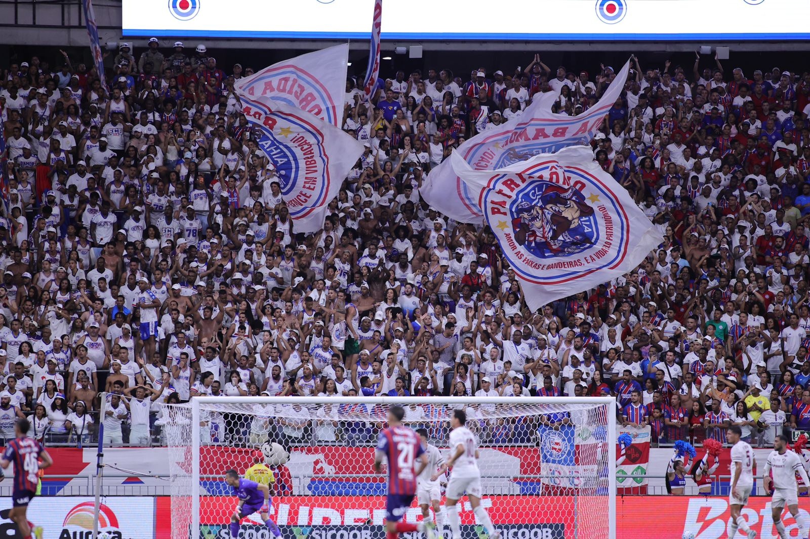 image para ilustrar o artigo