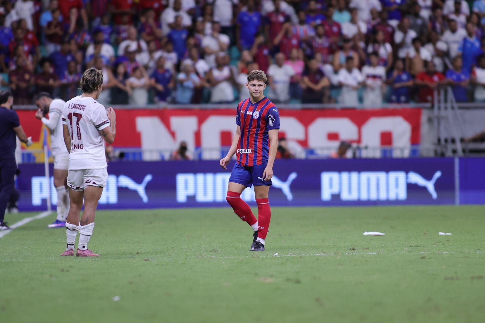 image para ilustrar o artigo