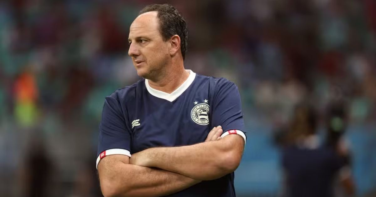 image para ilustrar o artigo