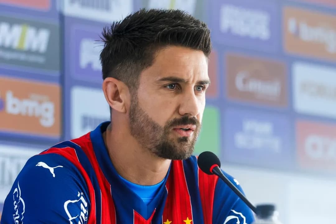 image para ilustrar o artigo