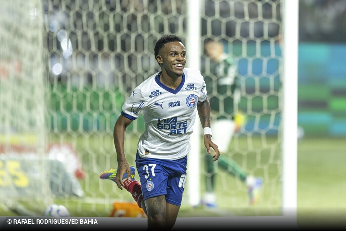 image para ilustrar o artigo