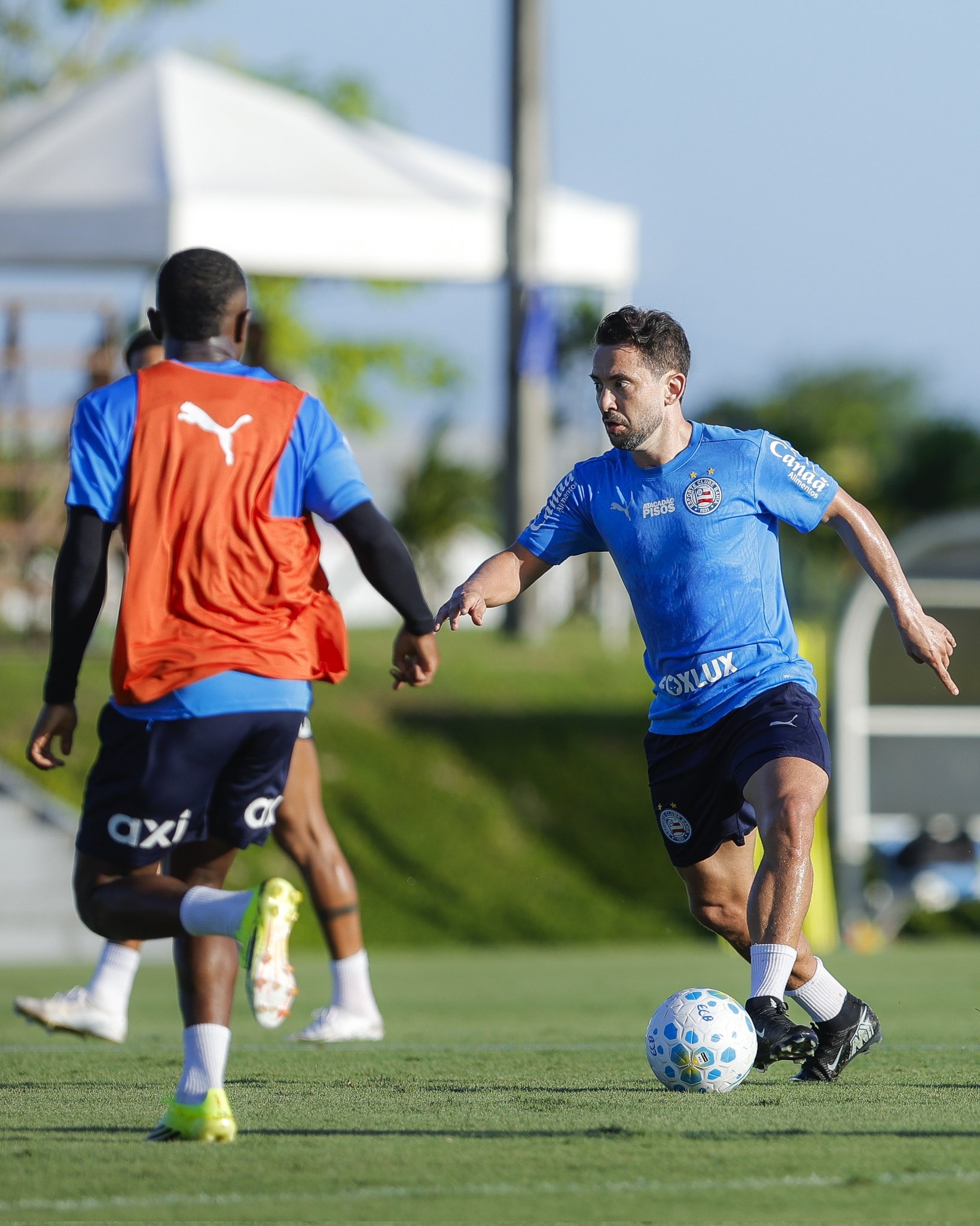 image para ilustrar o artigo