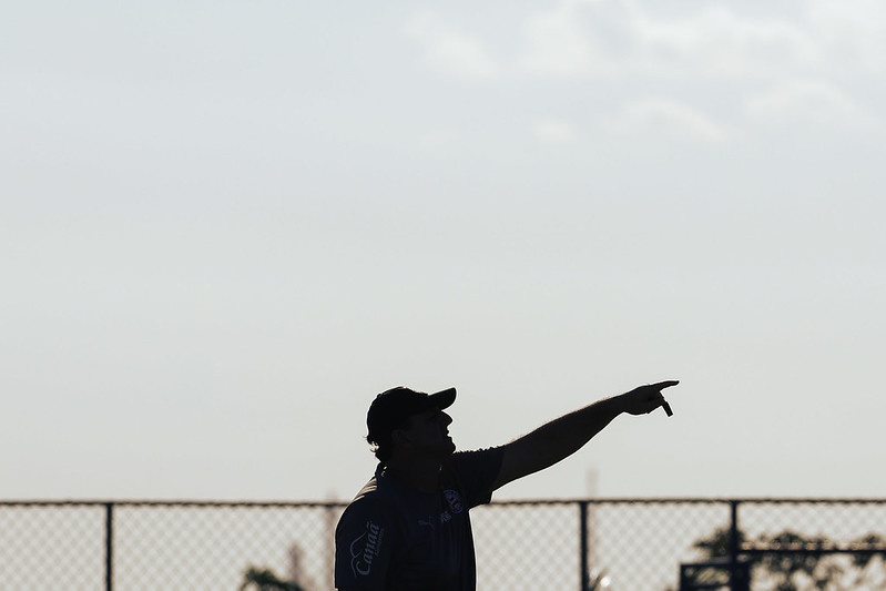 image para ilustrar o artigo