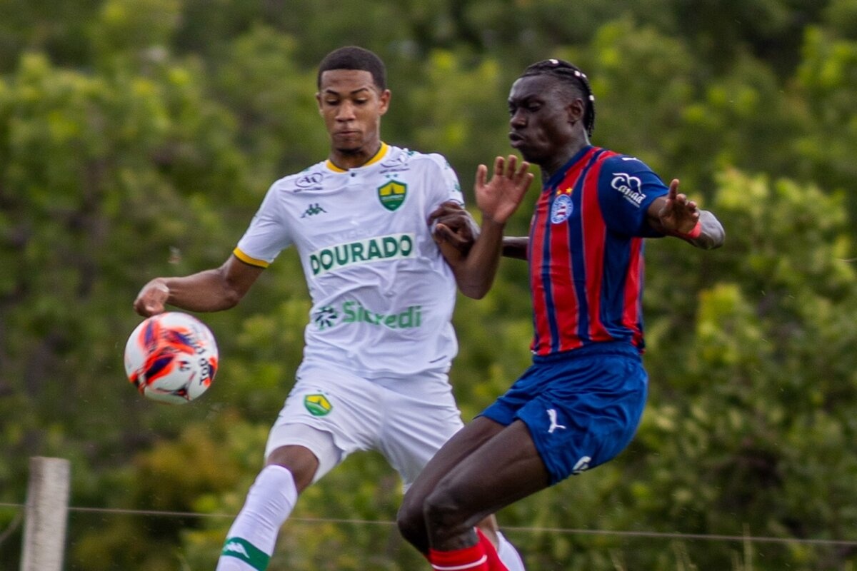 image para ilustrar o artigo